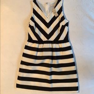 NWT LOFT striped dress - Sz 10p